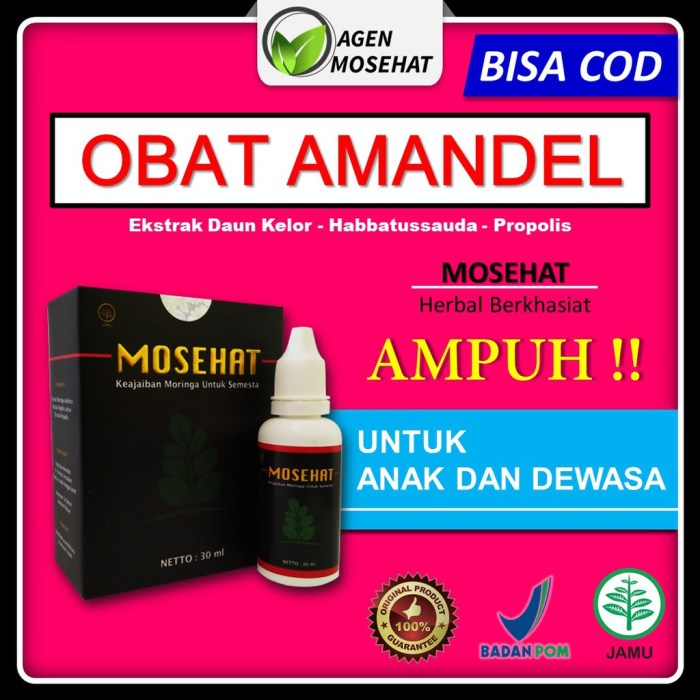 Obat Amandel Alami